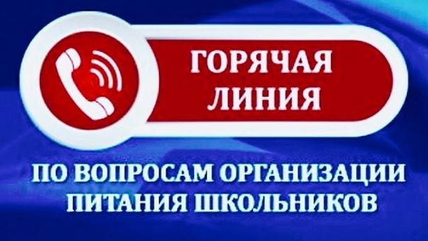 «Горячая линия» по вопросам организации питания в школах г. Саратова.