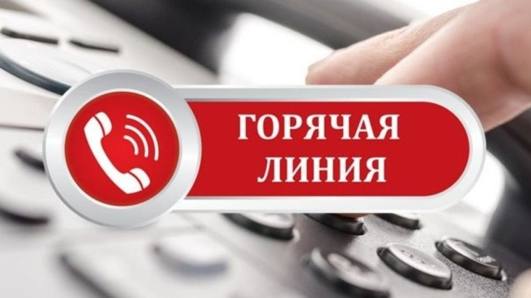 "Горячая линия" по вопросам питания в школах.
