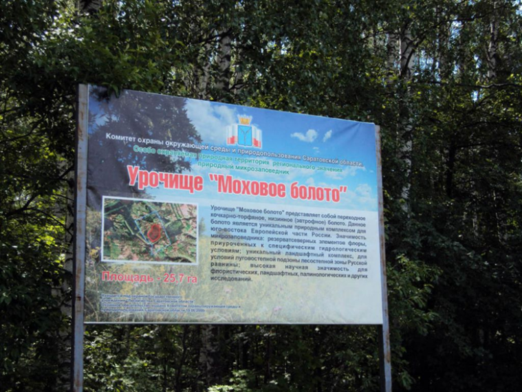 Урочище «Моховое болото».