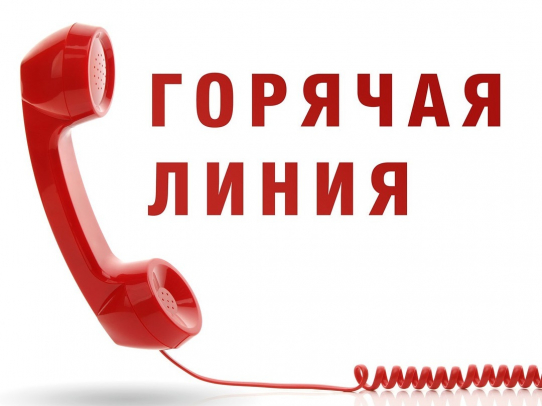 "Горячая линия" по вопросам детского отдыха.